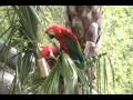 Spring Break 2009 Part 1