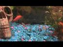 New fishies!!!!