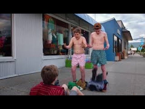WOODY WOODPECKER Exclusive Official Trailer 2018 Live Action Comedy Movie HD