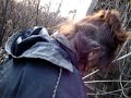 Attack of the burrs at freaky old house