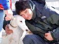 Galgo Rescue ITALY
