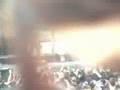 System of a Down - 09 Forest/Highway Song (Auckland 2005)