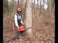 Felling Sights Felling Sights