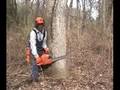 Felling Sights