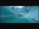 Por um mundo melhor amanh�