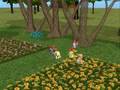 De sims 2 - Kaboutertuin