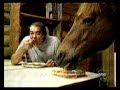Misha the house horse