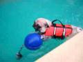 Peko Swimming 1