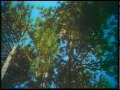 Lassie's Great Adventure (1963) - Full Movie - Captioned