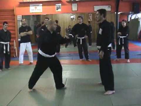 Persaudaraan Setia Hati seminar with Eric Chatelier