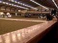 Micha Knol
