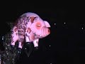 sheep by roger waters   morumbi   sp