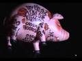 Sheep by Roger Waters - Morumbi - SP