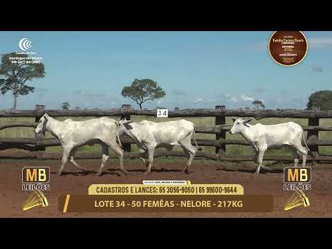 11� LEIL�O FAM�LIA LUCIANO DUARTE E CONVIDADOS
