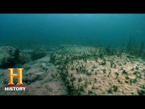 Ancient Aliens: The Remnants of Atlantis (Season 10) | History