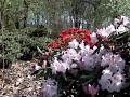 Flying insect betw. 0 - 10 and 30 - 43