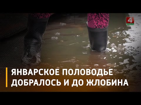 В Жлобине практически в центре города под воду уходят 2 жилых дома видео