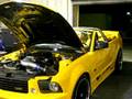THR Mustang Saleen S281 Extreme Conversion 540+ RWHP Dyno