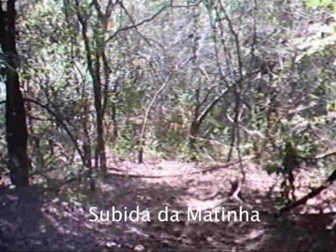 Imagem de Amostra do You Tube