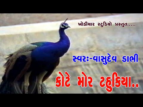 KOTE MOR TAHUKYA.VASUDEV DABHI