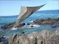 Canarie - Tenerife