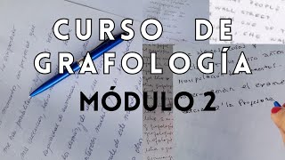 4 - CONCEPTOS BÁSICOS DE GRAFOLOGIA. 