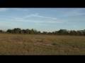 videos de Bert Kammerer - T-Rex 250 Align CF Main Blades