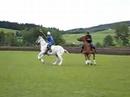 Polocrosse