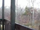 All the leaves are GONE!! All the leaves are GONE!!