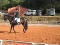 videos de ESPLENDIDO 17 CONCOURS 6/09/2008