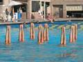 The Olympic Synchronized Swimming Documentary Sync or Swim
