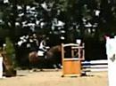 montage kilifleur