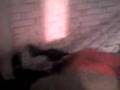 videos de Carlitos Mesias