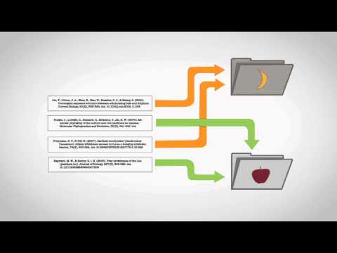 how to organize works cited