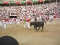 Running of the Bulls 2006 - runner\