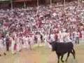 Running of the Bulls 2006 - runner's point of view