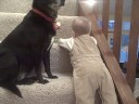 Up the Stairs! Up the Stairs!