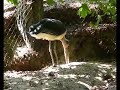 Niederbayerischer bird park, Abensberg