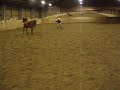 Marcelle i Farta Marcelle i Farta