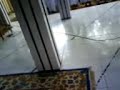 Mahallul Qiyam @ Pesantren at-Taufiqy Last Part