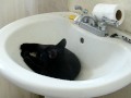 100_0792.MOV