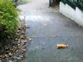 TP de Physique � Gagny
