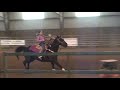 AJRA Barrel Racing 020208 AJRA Barrel Racing 020208