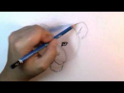 how to draw the face of a lion