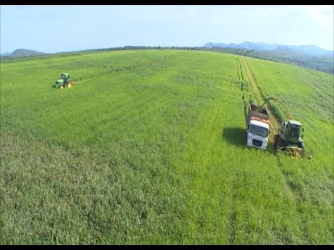 Cần đầu tư xây dựng thương hiệu cho hàng nông sản 