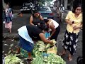 Comida Típica Salvadoreña a base de Maíz