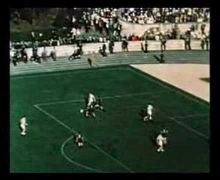 Celtic Gladiators