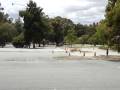videos de MOV02903.MPG