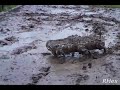 HRex Robot