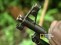 Gorillas Find Refuge in Uganda